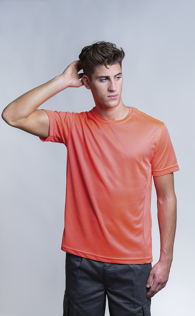 articulo446